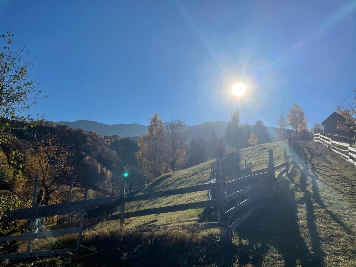Bran Place La Odaie Șimon Dış mekan fotoğraf