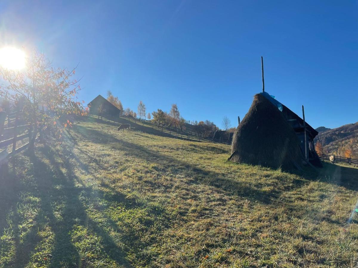Bran Place La Odaie Șimon Dış mekan fotoğraf
