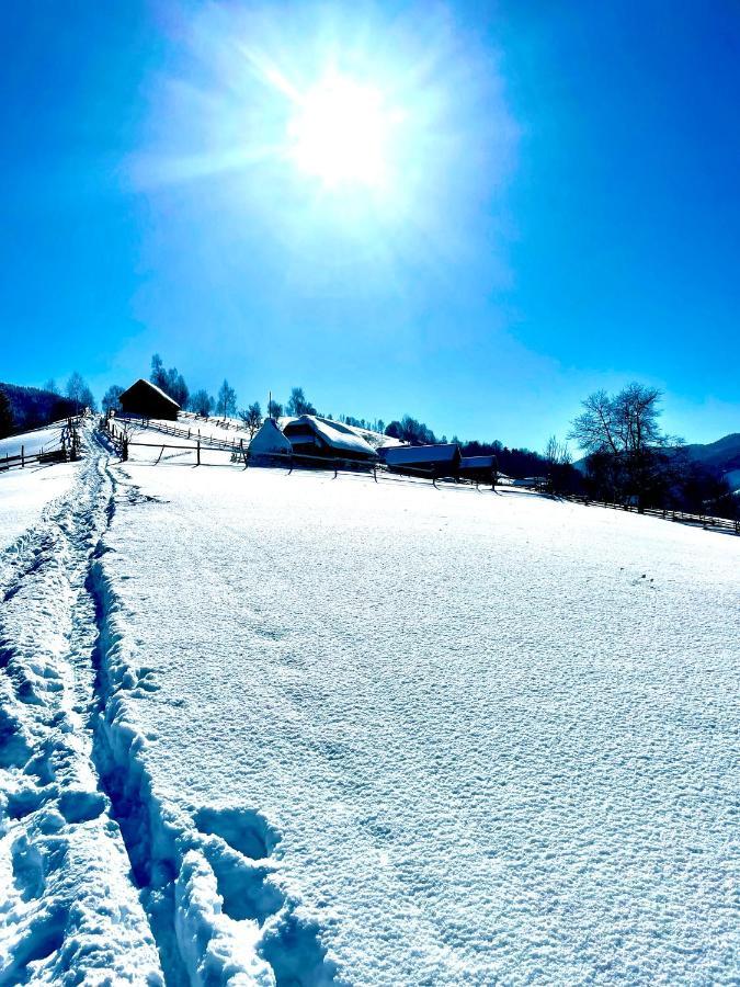 Bran Place La Odaie Șimon Dış mekan fotoğraf