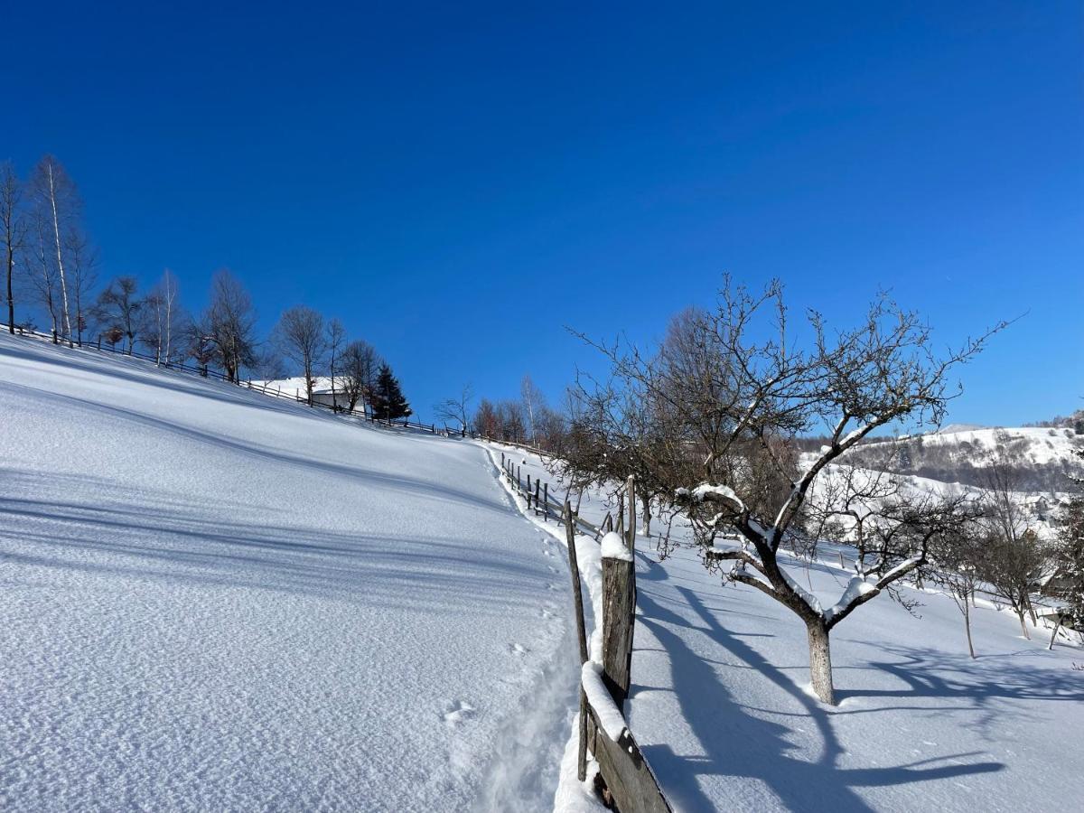 Bran Place La Odaie Șimon Dış mekan fotoğraf