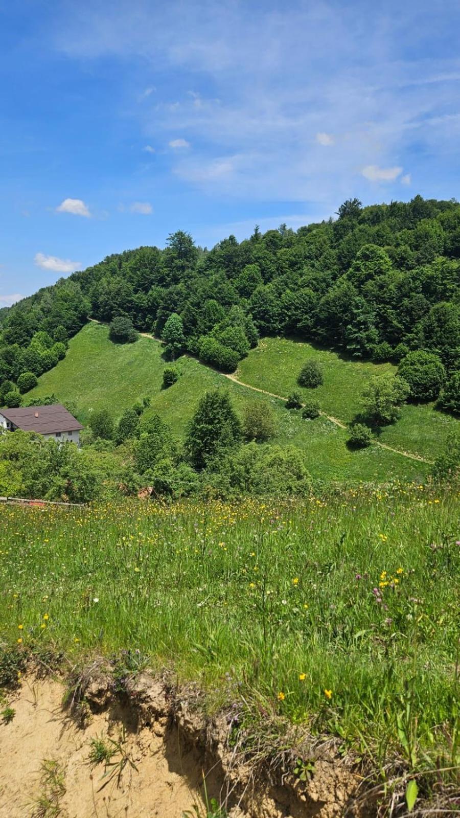 Bran Place La Odaie Șimon Dış mekan fotoğraf